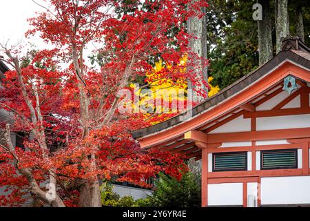 Details zu den Eingängen und Dächern der Stadt Koyasan Street Stockfoto