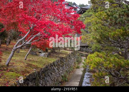 Details zu den Straßen von Koyasan im Herbst Stockfoto