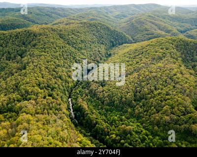 Ein faszinierender Blick über einen dichten grünen Wald mit felsigen Klippen und einem versteckten Fluss Veleka im Strandzha-Nationalpark, Bulgarien, Kalifornien Stockfoto