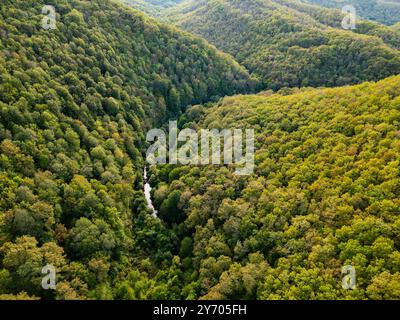 Ein faszinierender Blick über einen dichten grünen Wald mit felsigen Klippen und einem versteckten Fluss Veleka im Strandzha-Nationalpark, Bulgarien, Kalifornien Stockfoto