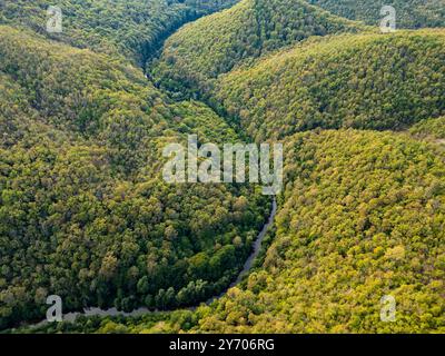 Ein faszinierender Blick über einen dichten grünen Wald mit felsigen Klippen und einem versteckten Fluss Veleka im Strandzha-Nationalpark, Bulgarien, Kalifornien Stockfoto