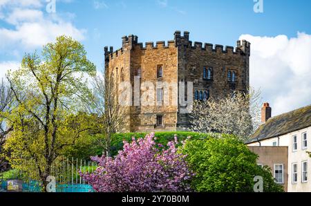 Der Donjon von Durham Castle wird heute als Unterkunft für Studenten des University College genutzt. Durham, England, Großbritannien. Stockfoto