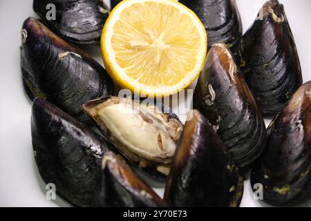 Gefüllte Muscheln mit Reis, türkische Art, mit Zitronenscheiben auf rotierendem Hintergrund Stockfoto