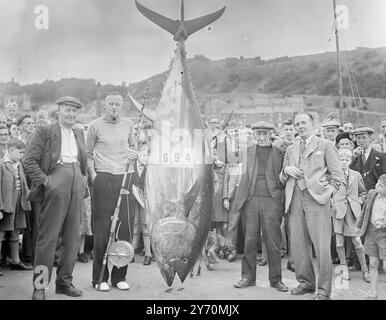 DER ERSTE THUNFISCH DES JAHRES der erste Thunfisch (649 kg schwer), der in diesem Sommer von Bright and Line in der Nordsee gerufen wurde, wurde heute von Mr. Fred Taylor, ein Geschäftsmann aus Manchester, der im vergangenen Jahr auch den ersten Tunny (Thunfisch) in Scarborough landete. Er fing es 40 Meilen vor Scarborough von der Scoble ' Florence' ab, die von Mr. Übersprungen wurde Tom Birch, ein alter Fischer. DAS BILD ZEIGT:- Mr.. Fred Taylor beim Einwiegen seines Tunnels. Auf der linken Seite ist der Fischer Bob Allan, der Bootsmann mit Mr.. Taylor, als er den Fisch hakt, und der über eine Meile lang mit ihm gezogen wurde Stockfoto