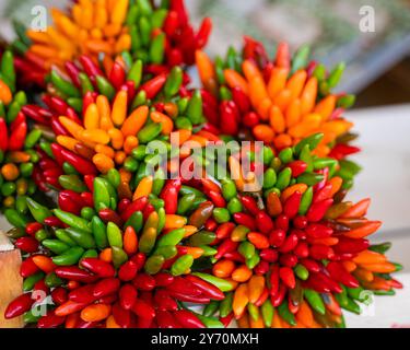 Ein Haufen farbenfroher Chili-Paprika auf dem Markt der Rialto-Brücke in Venedig. Garbe aus bunten Chilischoten. Konzept des Marktes für frische Bio-Lebensmittel. Stockfoto