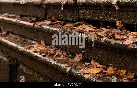 Drei Granitstufen mit braunen, gefallenen Blättern und gefrorenen Wassertropfen Stockfoto