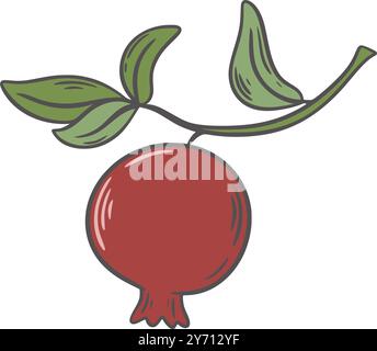 Reifer Granatapfel, der an einem Zweig mit Blättern hängt, Clip Art Illustration auf weißem Hintergrund. Frisches Obst handgezeichnet, Vektorgrafik Stock Vektor