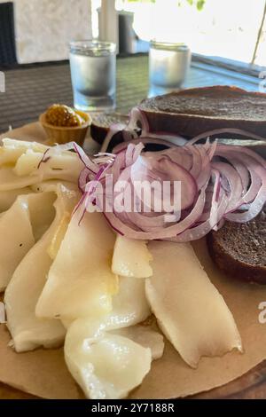 Roh gehackter Schweineschinken mit Fleisch, einem Kopf mit Knoblauch und Roggenbrot auf einem hölzernen Hintergrund für den Kopierraum. Ein großer Teil von frischem Fett. Ukrainischer Schmalz, tra Stockfoto