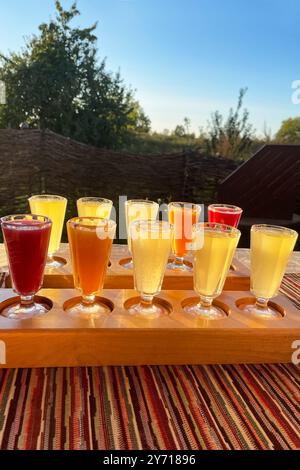 Bunte, transparente Cocktails, Set mit Shots in einer Reihe Stockfoto