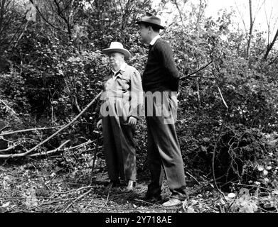 Churchill der Farmer Winston Churchill , Großbritanniens berühmter Kriegsführer , hat viele Facetten seiner langen und farbenfrohen Karriere . Die breite Öffentlichkeit kennt seine politischen Fähigkeiten und in geringerem Maße auch auf dem Gebiet der Kunst , aber Herr Churchill ist auch ein begeisterter Landwirt und grenzt an sein Landhaus in Chartwell bei Westerham in Kent an , er verfügt über drei Farmen von etwa 600 Hektar , die von seinem Schwiegersohn , Captain Christopher Soames , Abgeordneter von Bedford , für ihn verwaltet werden . Herr Churchill hat die Rückgewinnung von Halas und Spinneys mit aktuellen Maschinen überwacht Stockfoto