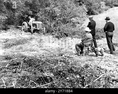 Churchill der Farmer Winston Churchill , Großbritanniens berühmter Kriegsführer , hat viele Facetten seiner langen und farbenfrohen Karriere . Die breite Öffentlichkeit kennt seine politischen Fähigkeiten und in geringerem Maße auch auf dem Gebiet der Kunst , aber Herr Churchill ist auch ein begeisterter Landwirt und grenzt an sein Landhaus in Chartwell bei Westerham in Kent an und betreibt drei Farmen von etwa 600 Hektar , die von seinem Schwiegersohn Captain Christopher Soames , Abgeordneter von Bedford , für ihn verwaltet werden . Herr Churchill hat die Rückgewinnung von Halas und Spinneys mit aktuellen Maschinen überwacht Stockfoto