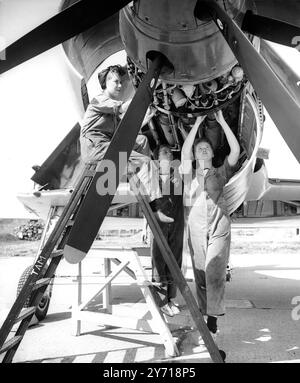 Navy Mädchen werden Luftmechaniker. Wren Air Mechanics Intraining an der Royal Naval Air Station, Yeovilton, Somerset. Sie sind zu kämpfen , Wren J Noakes of Grays , Essex , Wren C Benwell of Handworth , Middx , Wren F Trevarthen of Stroud , Glos . An dieser Station verbringen Mitglieder des Wormen's Royal Naval Service 20 Wochen auf einem Kurs , um sie entweder als Flugzeugmechaniker oder als enge Mechaniker zu qualifizieren . Nach dem Kurs werden die Mädchen zu den Naval Air Stationen auf den Britischen Inseln entsandt . 23. Juli 1951 Stockfoto