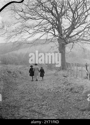 Herbstszene . 1940 Stockfoto