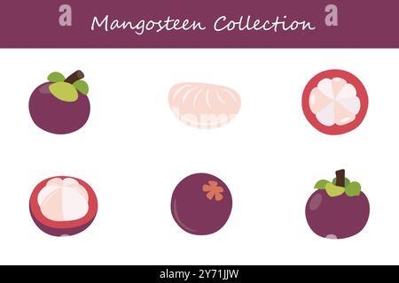 Mangostansammlung in verschiedenen Posen. Vektorabbildung. Stock Vektor