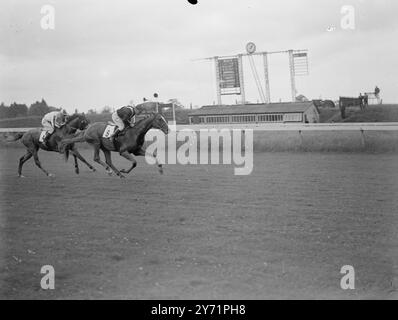 „Gordon bricht seinen Zauber“ nachdem er aufgrund seiner Verletzung vom Rasen abwesend war, saß Champion-Jockey Gordon Richards wieder im Sattel von Chepstow und gewann das erste Rennen des Treffens auf dem einzigen Weg. Die Rennmassen gaben Gordon einen tollen Empfang bei seiner Rückkehr und waren besonders erfreut, als er seinen Unglückszauber beim Fahren brach. Das Bild zeigt: „Er macht es wieder“ – Gordon Richards auf dem einzigen Weg, der beim Gewinn des Merthyr-Verkaufsplatts in Chepstow einen tollen Rücktritt macht. Er wird gesehen, wie er den Posten mit Willy hinter sich gelassen hat. Juni 1948 Stockfoto