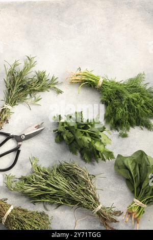 Bündel verschiedener frischer Kräuter und Scheren auf hellgrauem, strukturiertem Tisch, flach gelegt Stockfoto