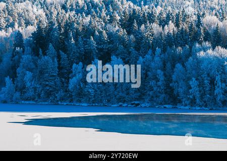 Die Landschaft fängt einen ruhigen Wintersee ein, umgeben von frostbedeckten Bäumen in Schweden. Die Szene vermittelt ein friedliches Ambiente mit sanften Lichtreflexen Stockfoto