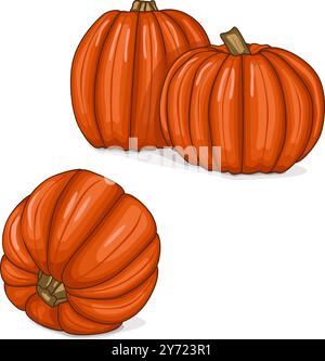 Gruppe von Big Max Kürbis. Winter-Squash. Cucurbita maxima. Gemüse. Clip Art. Isolierte Vektordarstellung. Stock Vektor