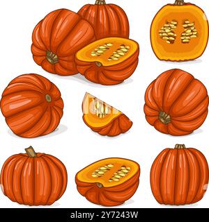 Set Big Max Kürbis. Winter-Squash. Cucurbita maxima. Gemüse. Clip Art. Isolierte Vektordarstellung. Stock Vektor