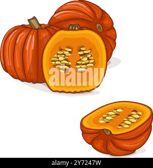 Ganzer und gehackter Big Max Kürbis. Winter-Squash. Cucurbita maxima. Gemüse. Clip Art. Isolierte Vektordarstellung. Stock Vektor