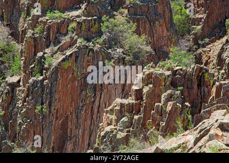 Gemeißelte Felsformationen der Black Canyon Wände Stockfoto