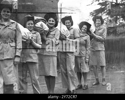 Eine große Gruppe von NA.A.F.I Mädchen wird in Kürze in Singapur arbeiten, zum ersten Mal in der Geschichte der NAAFI im Fernen Osten. Sie sind Mitglieder des E.F.I (Expeditionary Forces Institutes), die den Spitznamen „Kantinenkomandos“ verdient haben. An den verschiedenen Kriegsfronten. Einige der Mädchen auf einer Kitting-Up-Parade in London, als sie tropische Uniformen erhielten. - Von links nach rechts: CPL F Yates, CPL R.D.Macmaster und pte. M.. E Oldham. - 12. Februar 1946 Stockfoto