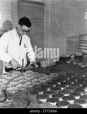 Labor Für Öffentliche Gesundheit. Colindale. 1947[?] Stockfoto