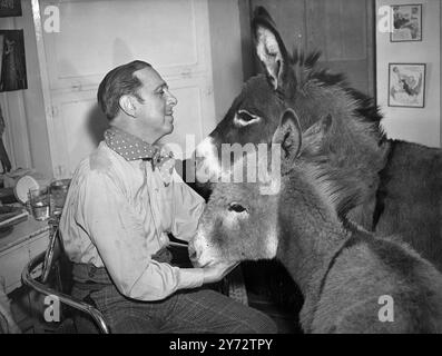 „Nelly“ und „Nipper“ (nächste Kamera) mit Lupino Lane in seiner Garderobe. Die Esel spielen in Szenen in der Lupino Lane Musical Comedy „Sweetheart Mine“ derzeit im Victoria Palace, London. 13. November 1946 Stockfoto