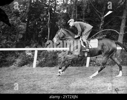 Neun von fünfzehn Teilnehmern für die King George VI Stakes, die zum ersten Mal in Ascot ausgetragen werden, sind in Frankreich ausgebildete Pferde. Die Veranstaltung, die als „das Rennen des Jahrhunderts“ bezeichnet wurde, wird von der Creme des britischen und französischen Rasenviertels umstritten, darunter: 'Airborne' - Derby und St Leger Gewinner, 'Souverain' - Gewinner des französischen St Leger und Grand Prix de Paris, 'Bright News' - Gewinner des irischen Derbys und der Meisterschaftsplatte, 'Bouton Rose' - belgischer Grand Prix Gewinner, 'Look Ahead' - Gewinner der Ascot Gold Vase und des St Leger und aus demselben Stall. Fotoshows : Souverain at Stockfoto