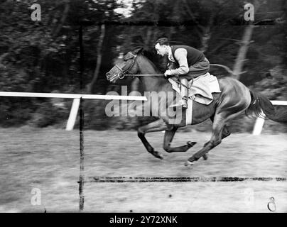 Neun von fünfzehn Teilnehmern für die King George VI Stakes, die zum ersten Mal in Ascot ausgetragen werden, sind in Frankreich ausgebildete Pferde. Die Veranstaltung, die als „das Rennen des Jahrhunderts“ bezeichnet wurde, wird von der Creme des britischen und französischen Rasenviertels umstritten, darunter: 'Airborne' - Derby und St Leger Gewinner, 'Souverain' - Gewinner des französischen St Leger und Grand Prix de Paris, 'Bright News' - Gewinner des irischen Derbys und der Meisterschaftsplatte, 'Bouton Rose' - belgischer Grand Prix Gewinner, 'Look Ahead' - Gewinner der Ascot Gold Vase und des St Leger und aus demselben Stall. Das Bild zeigt: Französisch chall Stockfoto