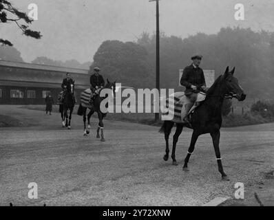 Neun von fünfzehn Teilnehmern für die King George VI Stakes, die zum ersten Mal in Ascot ausgetragen werden, sind in Frankreich ausgebildete Pferde. Die Veranstaltung, die als „das Rennen des Jahrhunderts“ bezeichnet wurde, wird von der Creme des britischen und französischen Rasenviertels umstritten, darunter: 'Airborne' - Derby und St Leger Gewinner, 'Souverain' - Gewinner des französischen St Leger und Grand Prix de Paris, 'Bright News' - Gewinner des irischen Derbys und der Meisterschaftsplatte, 'Bouton Rose' - belgischer Grand Prix Gewinner, 'Look Ahead' - Gewinner der Ascot Gold Vase und des St Leger und aus demselben Stall. Fotoshows : Leading is M Stockfoto