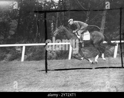 Neun von fünfzehn Teilnehmern für die King George VI Stakes, die zum ersten Mal in Ascot ausgetragen werden, sind in Frankreich ausgebildete Pferde. Die Veranstaltung, die als „das Rennen des Jahrhunderts“ bezeichnet wurde, wird von der Creme des britischen und französischen Rasenviertels umstritten, darunter: 'Airborne' - Derby und St Leger Gewinner, 'Souverain' - Gewinner des französischen St Leger und Grand Prix de Paris, 'Bright News' - Gewinner des irischen Derbys und der Meisterschaftsplatte, 'Bouton Rose' - belgischer Grand Prix Gewinner, 'Look Ahead' - Gewinner der Ascot Gold Vase und des St Leger und aus demselben Stall. Das Bild zeigt "Souverain, F Stockfoto