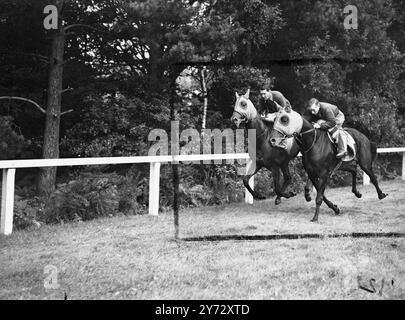 Neun von fünfzehn Teilnehmern für die King George VI Stakes, die zum ersten Mal in Ascot ausgetragen werden, sind in Frankreich ausgebildete Pferde. Die Veranstaltung, die als „das Rennen des Jahrhunderts“ bezeichnet wurde, wird von der Creme des britischen und französischen Rasenviertels umstritten, darunter: 'Airborne' - Derby und St Leger Gewinner, 'Souverain' - Gewinner des französischen St Leger und Grand Prix de Paris, 'Bright News' - Gewinner des irischen Derbys und der Meisterschaftsplatte, 'Bouton Rose' - belgischer Grand Prix Gewinner, 'Look Ahead' - Gewinner der Ascot Gold Vase und des St Leger und aus demselben Stall. Das Bild zeigt den französischen Kanal Stockfoto