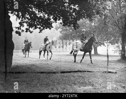 Neun von fünfzehn Teilnehmern für die King George VI Stakes, die zum ersten Mal in Ascot ausgetragen werden, sind in Frankreich ausgebildete Pferde. Die Veranstaltung, die als „das Rennen des Jahrhunderts“ bezeichnet wurde, wird von der Creme des britischen und französischen Rasenviertels umstritten, darunter: 'Airborne' - Derby und St Leger Gewinner, 'Souverain' - Gewinner des französischen St Leger und Grand Prix de Paris, 'Bright News' - Gewinner des irischen Derbys und der Meisterschaftsplatte, 'Bouton Rose' - belgischer Grand Prix Gewinner, 'Look Ahead' - Gewinner der Ascot Gold Vase und des St Leger und aus demselben Stall. Das Bild zeigt: Führend; März Stockfoto