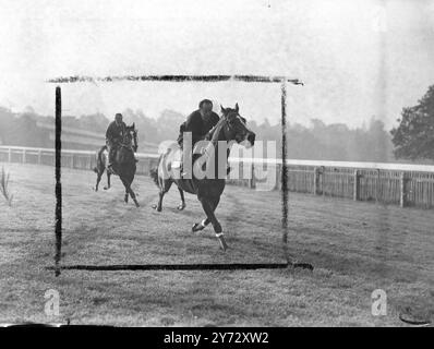 Neun von fünfzehn Teilnehmern für die King George VI Stakes, die zum ersten Mal in Ascot ausgetragen werden, sind in Frankreich ausgebildete Pferde. Die Veranstaltung, die als „das Rennen des Jahrhunderts“ bezeichnet wurde, wird von der Creme des britischen und französischen Rasenviertels umstritten, darunter: 'Airborne' - Derby und St Leger Gewinner, 'Souverain' - Gewinner des französischen St Leger und Grand Prix de Paris, 'Bright News' - Gewinner des irischen Derbys und der Meisterschaftsplatte, 'Bouton Rose' - belgischer Grand Prix Gewinner, 'Look Ahead' - Gewinner der Ascot Gold Vase und des St Leger und aus demselben Stall. Fotoshows : zwei der F Stockfoto