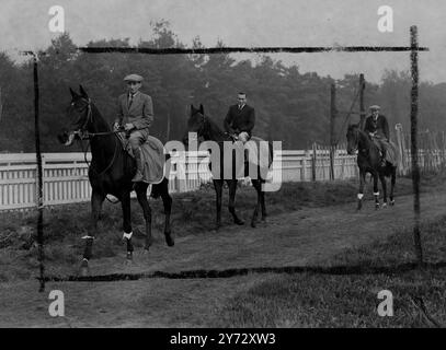 Neun von fünfzehn Teilnehmern für die King George VI Stakes, die zum ersten Mal in Ascot ausgetragen werden, sind in Frankreich ausgebildete Pferde. Die Veranstaltung, die als „das Rennen des Jahrhunderts“ bezeichnet wurde, wird von der Creme des britischen und französischen Rasenviertels umstritten, darunter: 'Airborne' - Derby und St Leger Gewinner, 'Souverain' - Gewinner des französischen St Leger und Grand Prix de Paris, 'Bright News' - Gewinner des irischen Derbys und der Meisterschaftsplatte, 'Bouton Rose' - belgischer Grand Prix Gewinner, 'Look Ahead' - Gewinner der Ascot Gold Vase und des St Leger und aus demselben Stall. Das Bild zeigt, wie es aus der Welt kommt Stockfoto