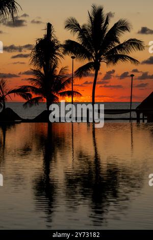 Sonnenaufgang über dem Golf von Mexiko spiegelt sich in den Infinity-Pool im Resort Stockfoto