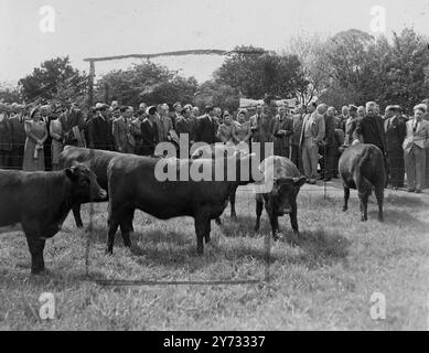 Die Delegierten der Internationalen Konferenz der landwirtschaftlichen Erzeuger wurden von seiner Majestät dem König in Windsor auf der Royal Farm empfangen. Später besuchen die Teilnehmer die 10 englischen Bauernländer und besuchen jeden Tag einzelne Farmen. Das Bild zeigt die königliche Familie und die Delegierten der Bauern, die einige Rinder des Königs betrachten. 18. Mai 1946 Stockfoto