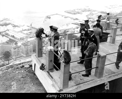 Ein berberaffen, der von Königin Elisabeth II. Während ihres Besuchs in Gibraltar gefüttert wird. Duke of Edinburgh steht am 11. Mai 1954 neben dem kampfgekleideten Affenwärter Gunner William Portlock, Royal Artillery Stockfoto