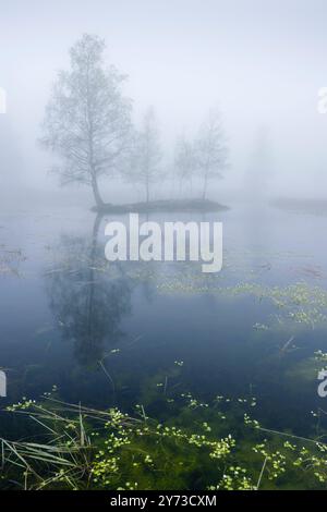 Plateau des Grilloux, Plateau der tausend Teiche (Plateau des Mille etangs), Haute Saone, Bourgogne-Franche-Comte, Frankreich Stockfoto