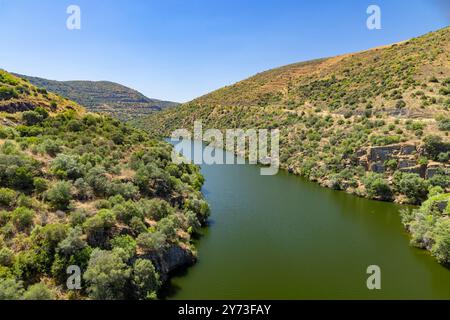 Parque Arqueologico Vale do CoA (CoA-Tal), UNESCO-Stätte, paläolithische Felskunst, Nord-Portugal, Portugal Stockfoto