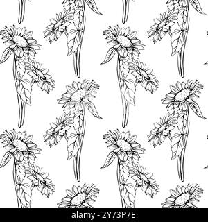 Nahtloses Muster mit Blumen Sonnenblumen im Line Art Stil. Vektor Herbst Ornament mit Kamille bemalt von schwarzen Tinten. Handgezeichnete Gravur Bouquet Stock Vektor