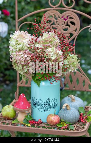 Strauß von Hortensie paniculata Blumen Limelight und Hagebutten in einem alten Milchkrug auf einem Gartenstuhl Stockfoto