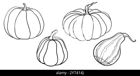 Kürbisset im Line-Art-Stil. Grafiken Vektor-Illustration mit schwarzer Tinte. Lineare Zeichnung Herbstgemüse auf isoliertem Hintergrund Stock Vektor