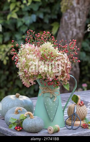 Strauß von Hortensie paniculata und Hüftrosen in einem Vintage-Krug und grauen Kürbissen Stockfoto