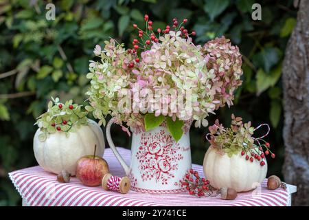 Herbstarrangement mit Strauß von Hortensie paniculata und Hüftrosen und weißen Kürbissen Baby Boo Stockfoto