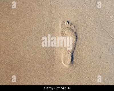 Ein menschlicher Fußabdruck in nassem Sand. Stockfoto