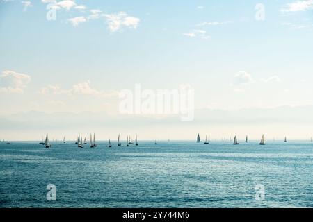 Viele Segelboote auf dem Bodensee Stockfoto
