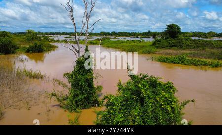 Der schlammige Mekong-Fluss überschwemmte seine Inseln in Kambodscha, von oben gesehen Stockfoto