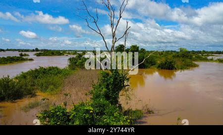 Der schlammige Mekong-Fluss überschwemmte seine Inseln in Kambodscha, von oben gesehen Stockfoto